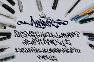 Annex: The Script Font That Transforms Digital Brand Identity
