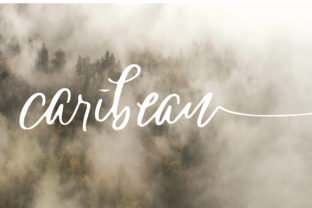 Caribean: A Script Font for Authentic Digital Branding