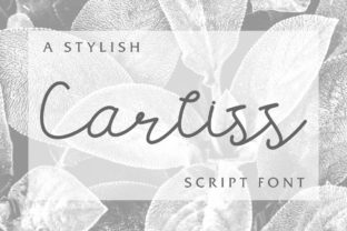 Carllis Script Font Review: A Designer’s Take on Real-World Application